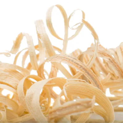 Cálamo Aromático