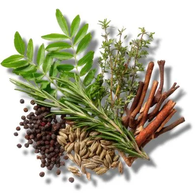 Notas Aromáticas
