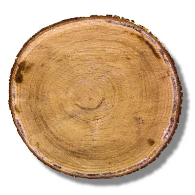 Roble