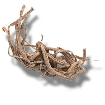 Vetiver