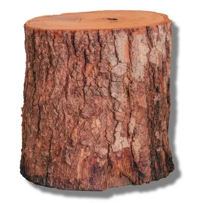 Caoba