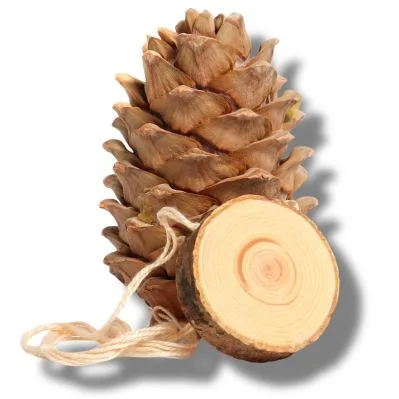 Iso E Super (cedro)