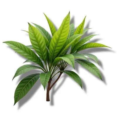 Planta de Coca