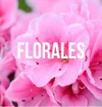 Florales
