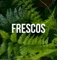 frescos